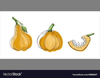 pumkins vegetable set doodle flat
