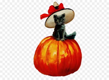 Pumpkin