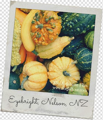 Pumpkin 3 Little Letters Winter squash Gourd Food, pumpkin transparent background PNG clipart