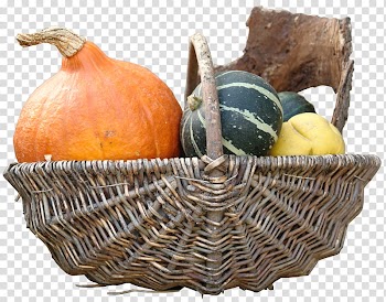 Pumpkin, assorted vegetables in basket transparent background PNG clipart