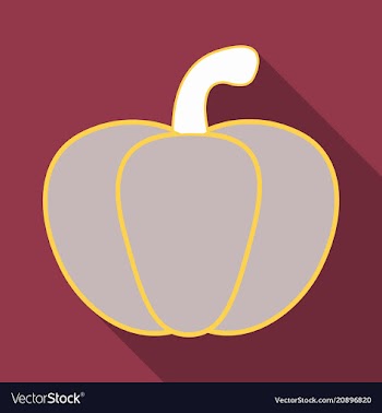 Pumpkin autumn halloween pumpkin vegetable vector image