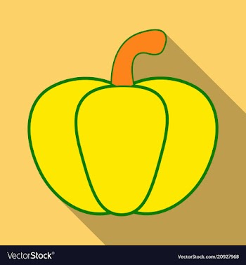 Pumpkin autumn halloween pumpkin vegetable vector image