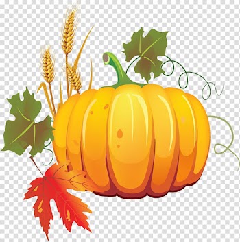 Pumpkin Autumn Vegetable Vegetarian cuisine , pumpkin transparent background PNG clipart