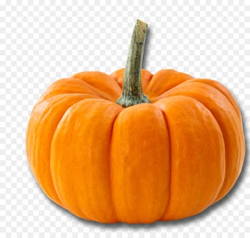 Pumpkin Beer Food Butternut squash Ingredient - acorn squash 