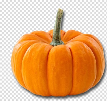 Pumpkin Beer Food Butternut squash Ingredient, acorn squash transparent background PNG clipart