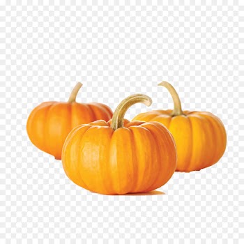 Pumpkin bread Muffin Pumpkin seed Vegetable - pumpkin 