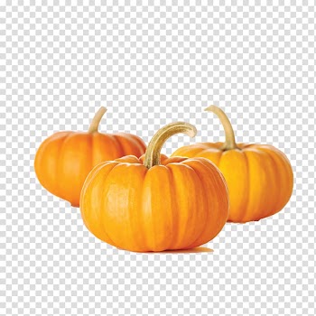 Pumpkin bread Muffin Pumpkin seed Vegetable, pumpkin transparent background PNG clipart