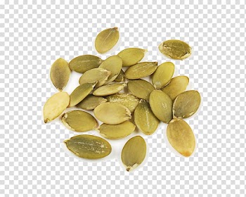 Pumpkin bread Pumpkin pie Pumpkin seed Cucurbita, pumpkin transparent background PNG clipart
