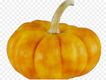Pumpkin Butternut squash Vegetarian cuisine Vegetable Gourd -  