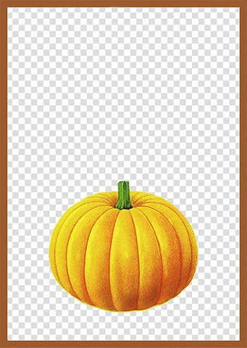 Pumpkin Calabaza Brown, Brown simple frame pumpkin border texture transparent background PNG clipart