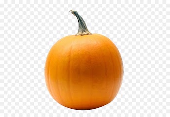 Pumpkin Calabaza Cincinnati Reds Gourd - pumpkin 