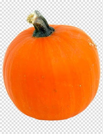 Pumpkin Calabaza Cucurbita Jack-o'-lantern Winter squash, sparrow transparent background PNG clipart