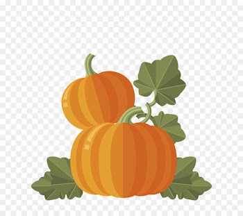 Pumpkin Calabaza Cucurbita maxima Gourd Winter squash - With fresh pumpkin leaves 