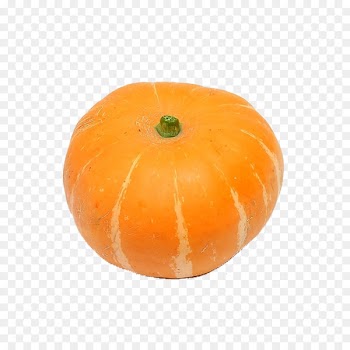 Pumpkin Calabaza Cucurbita maxima Winter squash Gourd - pumpkin 