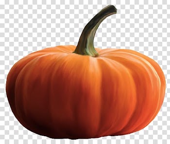 Pumpkin Calabaza Gourd Winter squash Cucurbita, pumpkin transparent background PNG clipart