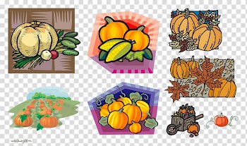 Pumpkin Calabaza Gourd Winter squash Vegetarian cuisine, pumpkin transparent background PNG clipart