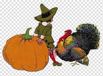 Pumpkin Calabaza Illustration, Pumpkin kids peacock transparent background PNG clipart