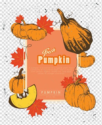 Pumpkin Calabaza Jack-o'-lantern , Pumpkin shading transparent background PNG clipart