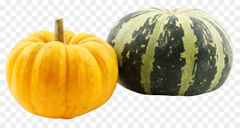 Pumpkin Calabaza Kabocha Winter squash - Pumpkins 