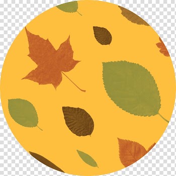 Pumpkin Calabaza, pumpkin transparent background PNG clipart
