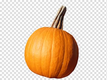 Pumpkin Calabaza Squash Vegetable Gourd, pumpkin transparent background PNG clipart