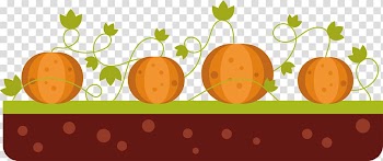 Pumpkin Calabaza Vegetable , Field of pumpkin transparent background PNG clipart