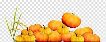 Pumpkin Calabaza Vegetarian cuisine Gourd Winter squash, Free creative pumpkin Rice pull transparent background PNG clipart