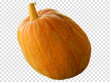 Pumpkin Calabaza Vegetarian cuisine Gourd Winter squash, Real Pumpkin transparent background PNG clipart