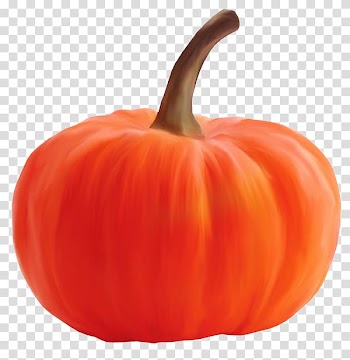 Pumpkin Calabaza Winter squash Gourd Bell pepper, pumpkin transparent background PNG clipart