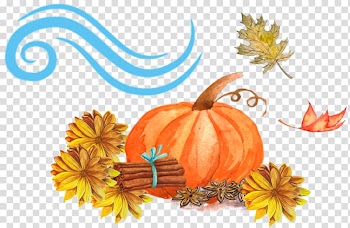 Pumpkin Calabaza Winter squash Gourd Cucurbita, pumpkin transparent background PNG clipart