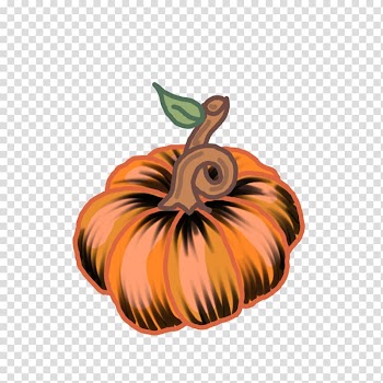 Pumpkin Calabaza Winter squash Gourd Cucurbita, pumpkin transparent background PNG clipart