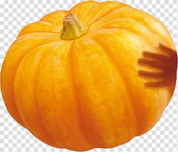 Pumpkin Calabaza Winter squash Gourd, pumpkin transparent background PNG clipart