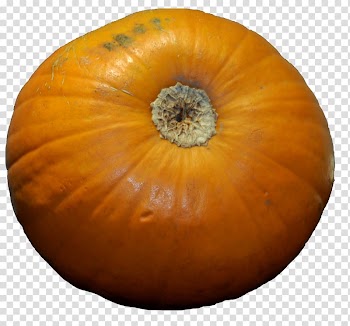 Pumpkin Calabaza Winter squash Gourd, pumpkin transparent background PNG clipart