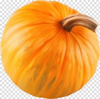 Pumpkin Calabaza Winter squash Gourd, pumpkin transparent background PNG clipart