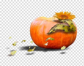 Pumpkin Calabaza Winter squash Gourd Vegetarian cuisine, pumpkin transparent background PNG clipart