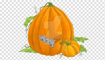 Pumpkin Calabaza Winter squash Gourd Vegetarian cuisine, pumpkin transparent background PNG clipart