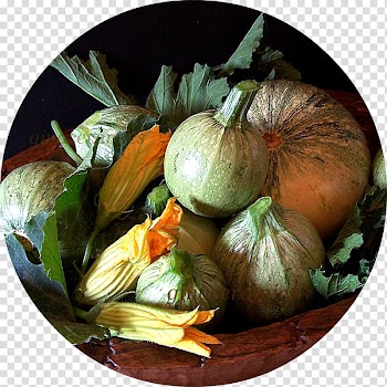 Pumpkin Calabaza Winter squash Gourd Vegetarian cuisine, pumpkin transparent background PNG clipart