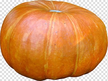 Pumpkin Calabaza Winter squash Gourd Vegetarian cuisine, pumpkin transparent background PNG clipart