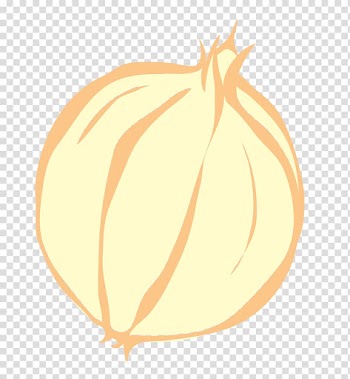 Pumpkin Calabaza Winter squash Illustration, pumpkin transparent background PNG clipart