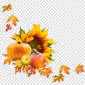 Pumpkin Calabaza Winter squash, pumpkin transparent background PNG clipart