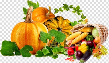 Pumpkin Calabaza Winter squash Vegetable Food, pumpkin transparent background PNG clipart