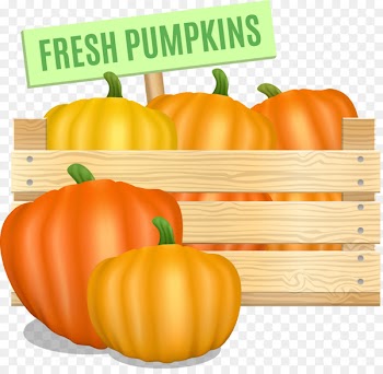Pumpkin Calabaza Winter squash Vegetable - pumpkin 