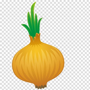 Pumpkin Calabaza Yellow onion, Yellow onion transparent background PNG clipart