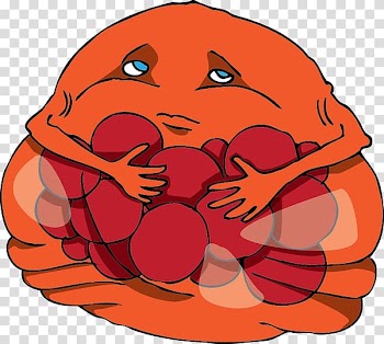 Pumpkin Cell biology Nose , pumpkin transparent background PNG clipart