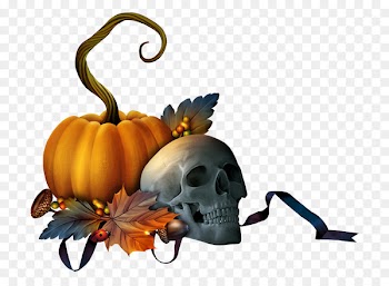 Pumpkin Clip art Halloween Decorative Borders Jack-o'-lantern - pumpkin 