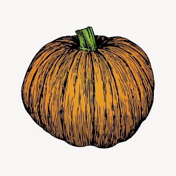 Pumpkin clipart, vintage vegetable illustration | Free Vector - rawpixel