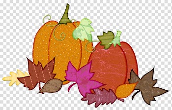 Pumpkin Country Critters Farm Gourd Alvarado Calabaza, pumpkin transparent background PNG clipart