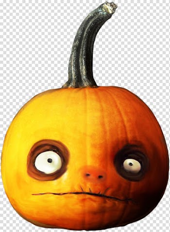 Pumpkin Cucurbita Jack-o\'-lantern Gourd Winter squash, pumpkin transparent background PNG clipart