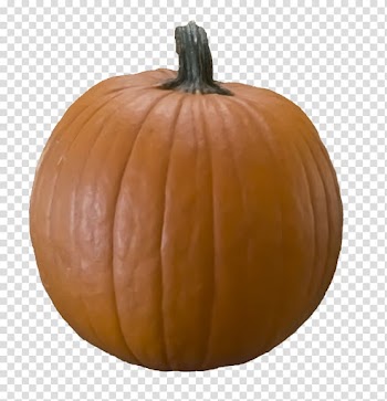 Pumpkin Cucurbita maxima Vegetable Gourd, pumpkin transparent background PNG clipart