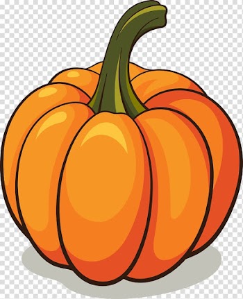 Pumpkin Cucurbita pepo , pumpkin transparent background PNG clipart